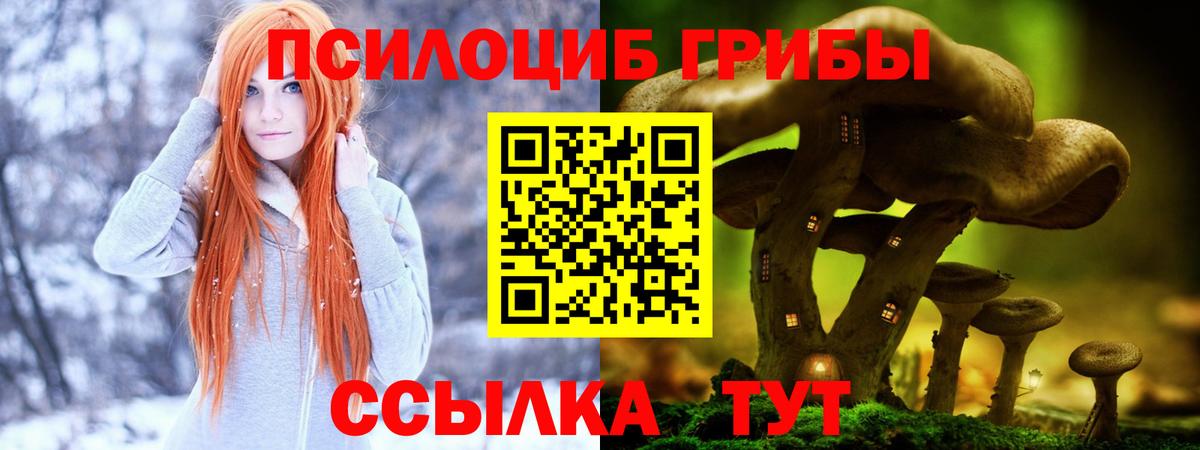 Галлюциногенные грибы Psilocybine cubensis  Вход с VPN  Сальск 
